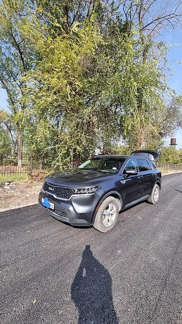 соренто 2022: Kia Sorento: 2022 г., 2.5 л, Автомат, Бензин, Кроссовер — 4