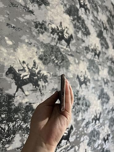 IPhone 11 Pro, 256 ГБ, Серебристый