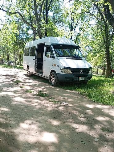 воздушный шар маленький: Пассажирские микроавтобусы Mercedes-Benz Sprinter для перевозок — 4