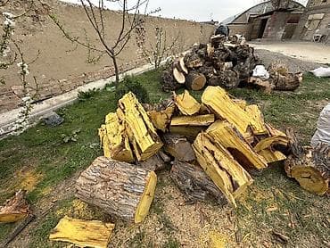 зол: Дрова — 1