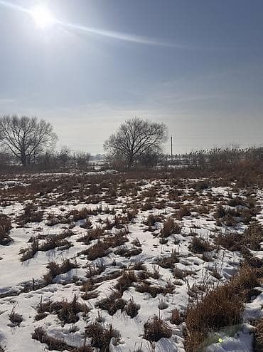 5 соток, Для строительства, Красная книга, Договор купли-продажи at lalafo.kg 5 соток, Для строительства, Красная книга, Договор купли-продажи