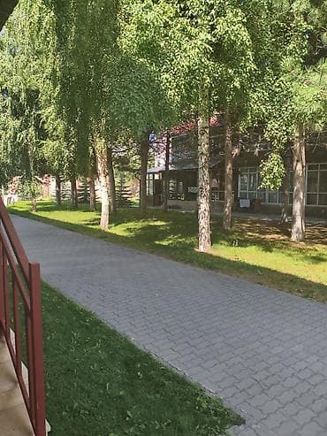 Недвижимость: 2 комнаты, 40 м², 1 этаж, Евроремонт — 1