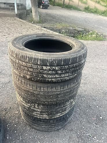Шиналар 245 / 60 / R 18, Жай, Колдонулган, Комплект, Жол тандабастар (АТ/МТ), Корея, Nexen — 2