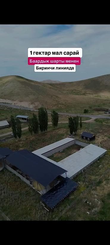 goat: Farm КРС, 1000 соток, Отопление — 7