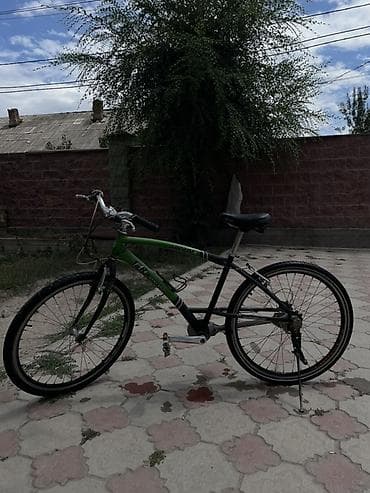 Велосипеддер: Шаардык велосипед, Trek, Велосипед алкагы M (156 - 178 см), Колдонулган — 1