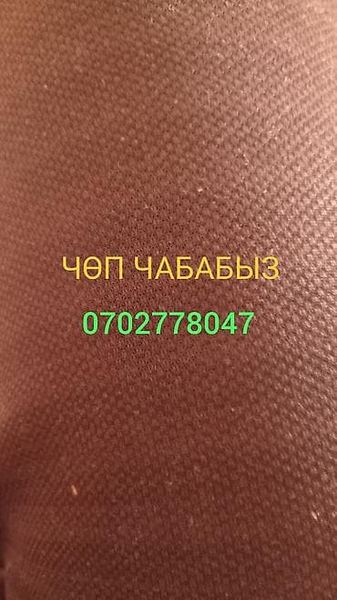 стрижка растений: Уборка территории, Стрижка газона — 1