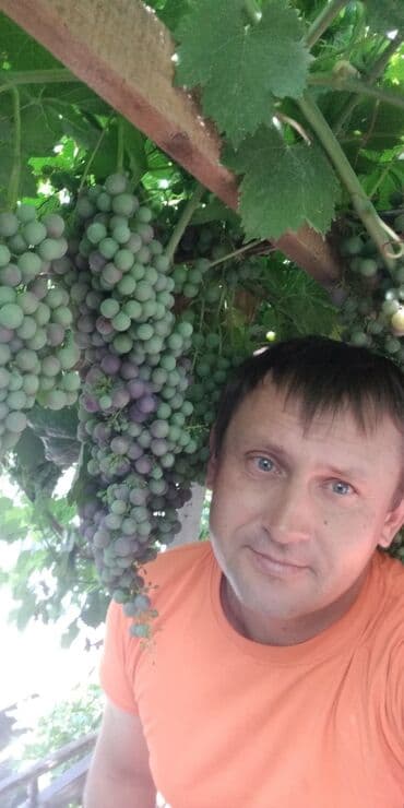 обмен на комнатные растения: Обрезка плодовых и декоративных деревьев, винограда,роз и других — 1