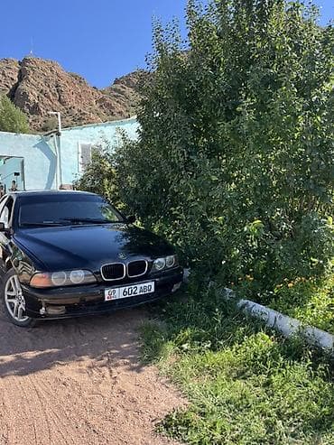 авто портер: BMW 5 series: 1996 г., 2.8 л, Механика, Седан — 1
