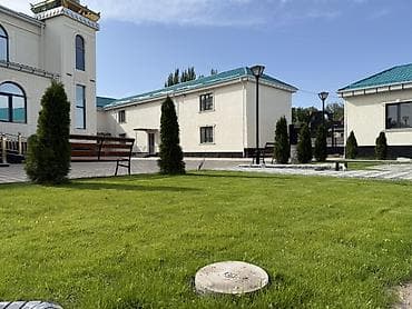 копаю огород: Уборка территории, Уход за деревьями — 9