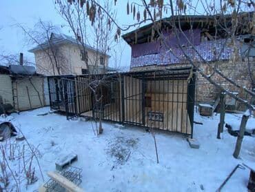 наполнитель для животных: Вольеры для собак кур, кошекбудка на заказ любой сложности — 10