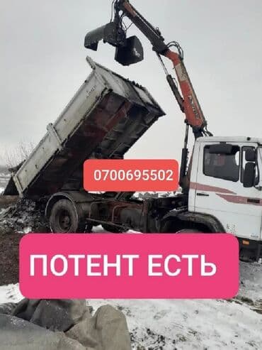 куплю чернозем: Портер, Вывоз бытового мусора, По городу, с грузчиком — 1