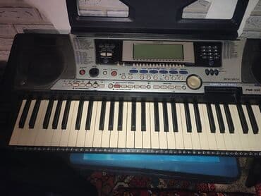 Синтезатор Yamaha PSR-550 в серебристом корпусе. Оснащен встроенными