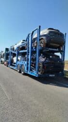 runx alex: Чиркегич, DAF, Унаа ташыгыч — 7