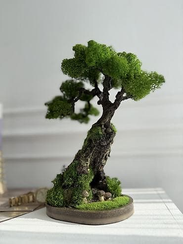 Миниатюрная Интерьерная Композиция Декор для дома и офиса «Бонсай» из