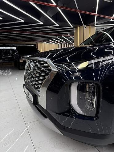 windom 3 0: Hyundai Palisade: 2019 г., 2.2 л, Дизель, Кроссовер — 9