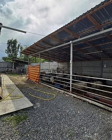 Дома: 📌В селе Беловодское срочно продается дом на участке 4,5 соток. ▪️Дом — 2