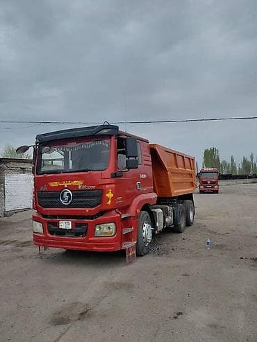 баран живой: Продаю Самосвал 6x4 Shaanxi (Shacman) М3000, 430 л.с. - Колесная — 2
