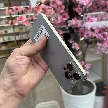 IPhone 15 Pro Max, Колдонулган, 256 ГБ, Natural Titanium, 95 % — 3