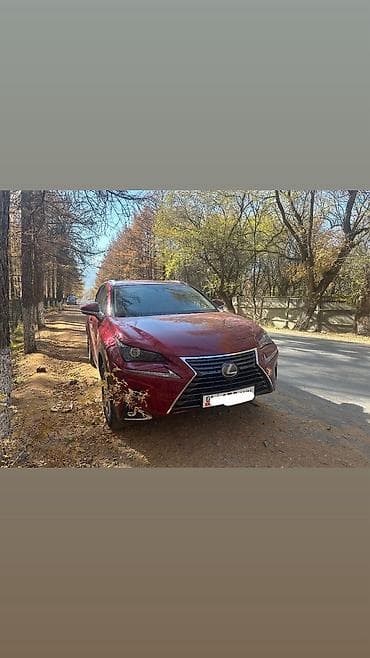 lanser 10: Lexus NX: 2018 г., 2 л, Автомат, Бензин, Кроссовер — 2