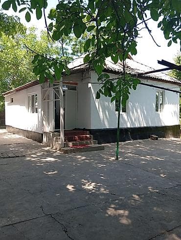 дом участки: Продаётся дом село Маловодное с двором за высоким забором на тихой — 3