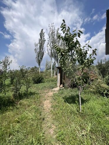 продажа дома в токмаке: Дом, 40 м², 2 комнаты, Риэлтор, Косметический ремонт — 9