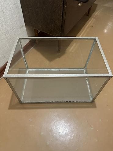 акварум: Стеклянный аквариум/террариум прямоугольной формы. Длина 50 см, ширина — 2