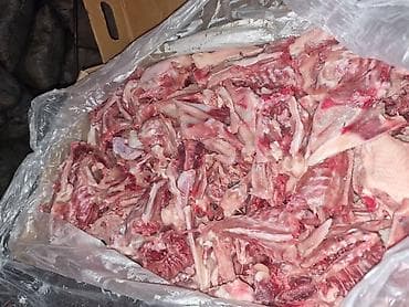 тун азык: Кор для собак Куриная суповая наборка (куриные обрезки/каркас) — 1