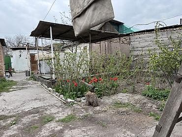 купить дом в пригороде: Продаю уютный дом с плодоносящим садом (8 соток) Продаем свой дом — — 4