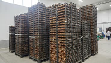 электронный жайнамаз бишкек цена: Курма оптом сатылат 
5-6 тонна
Цена договорная — 1