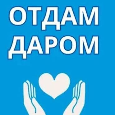 помощь детям: Отдам даром: пакет одежды и обуви для мальчика до полутора лет. - — 1