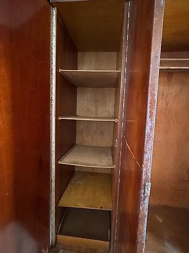 Уруктар жана көчөттөр: Сатылат 4000 — 4