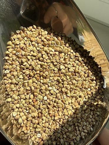 зеленая гречка: Зелёная гречка (необжаренные ядра) 🌱 Продажа оптом и в розницу. Оптом — 6