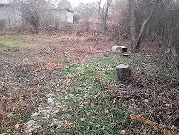 5 соток, Курулуш — 8