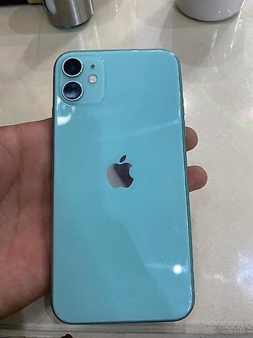 ipad 9 256 cellular: IPhone 11, Зеленый — 1