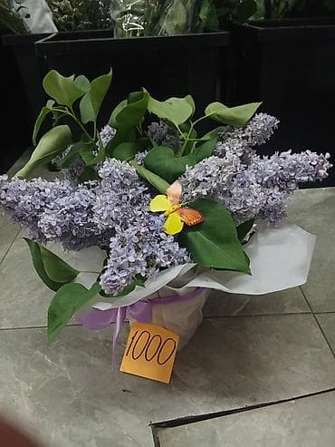 букет сирень: Сирень — ароматные сезонные букеты и композиции. - Букет сирени в — 3