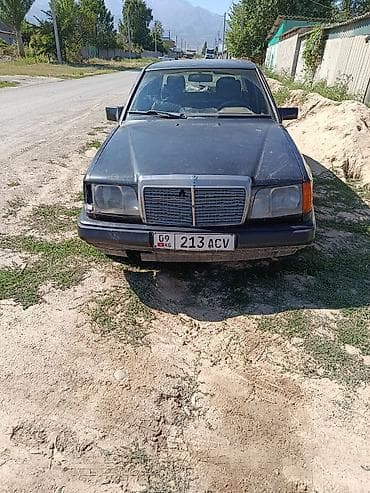 Mercedes-Benz W124: 1992 г., 2.5 л, Автомат, Дизель, Седан
