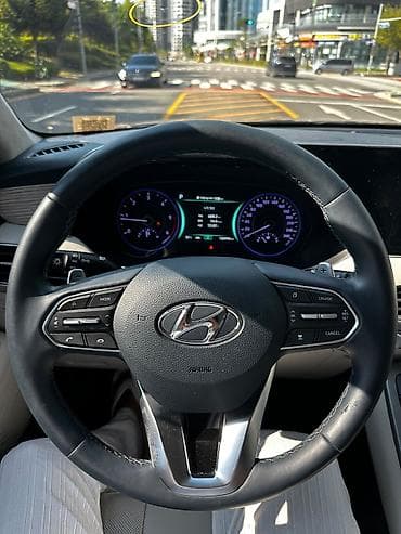 byd e2 2023: Hyundai Palisade: 2020 г., Автомат, Дизель, Кроссовер — 9