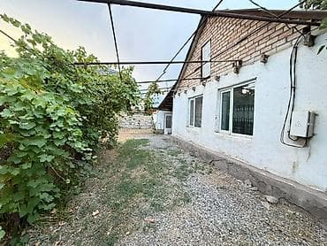 5 соток, Курулуш, Кызыл китеп — 1