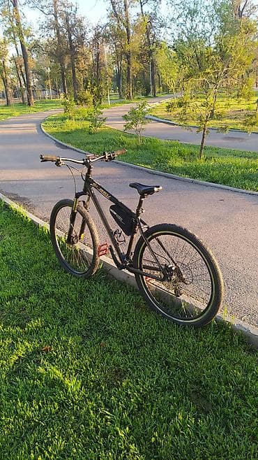 Велосипеддер: Тоо велосипеди, Велосипед алкагы M (156 - 178 см), Алюминий, Колдонулган — 2