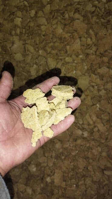 продажа щенков немецкой овчарки с документами в бишкеке: Одним из самых ценных продуктов переработки сои считается соевый жмых — 4