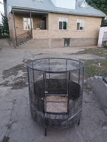 живой корм: Дакан Капас Дакан Короздорго Клетка — 1
