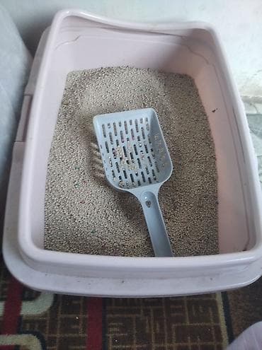 елект: Кошка и латок и совок и домик и двойная миска обший 8000 сом — 1