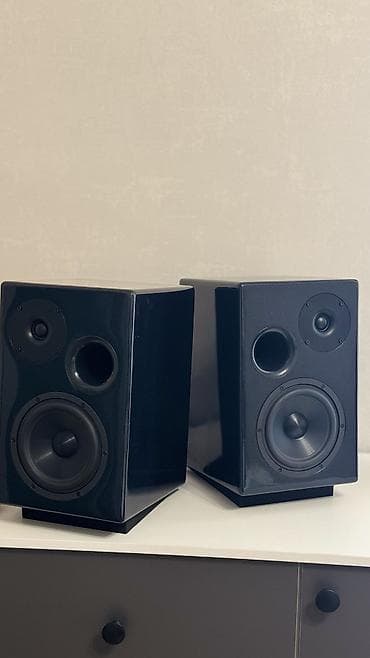 dl audio: Комплект бескомпромиссного звука: Hi-Fi колонки ручной работы и — 1