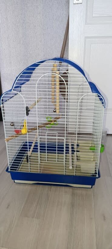 наполнители для кошек: Клетка для попугаев, большая, 57 высота, ширина 40. Подойдёт для — 1