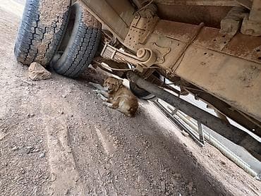 volvo euro 6: Грузовик, Mercedes-Benz — 9