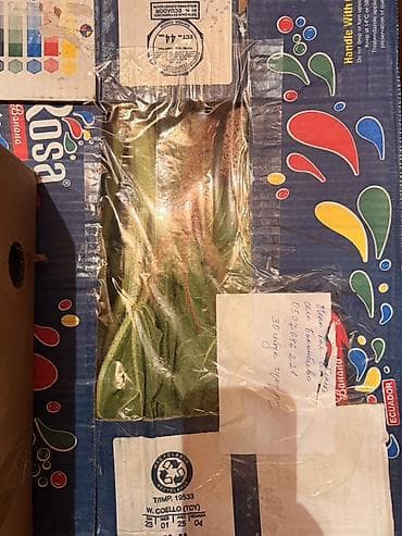 Зелень и микрозелень: Чукуру Бишкек Ышкын Бишкек Кымыздык Бишкек Боткок Бишкек 4ШТУК 99 — 3