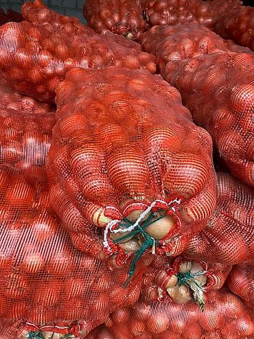 соевый соус цена: Лук — 2