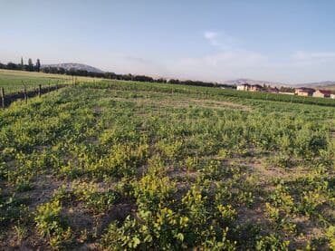 ищу участок: 18 соток — 3