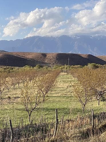 600 соток, Действующий, Электричество, Холодная вода