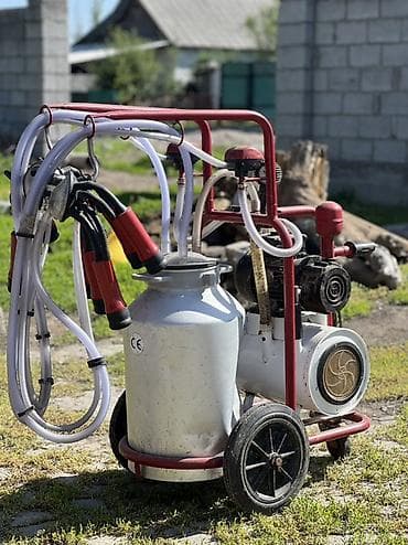 инкубатор норма: Доильный аппарат на тележке, двухпостовой Описание: - Передвижной — 1